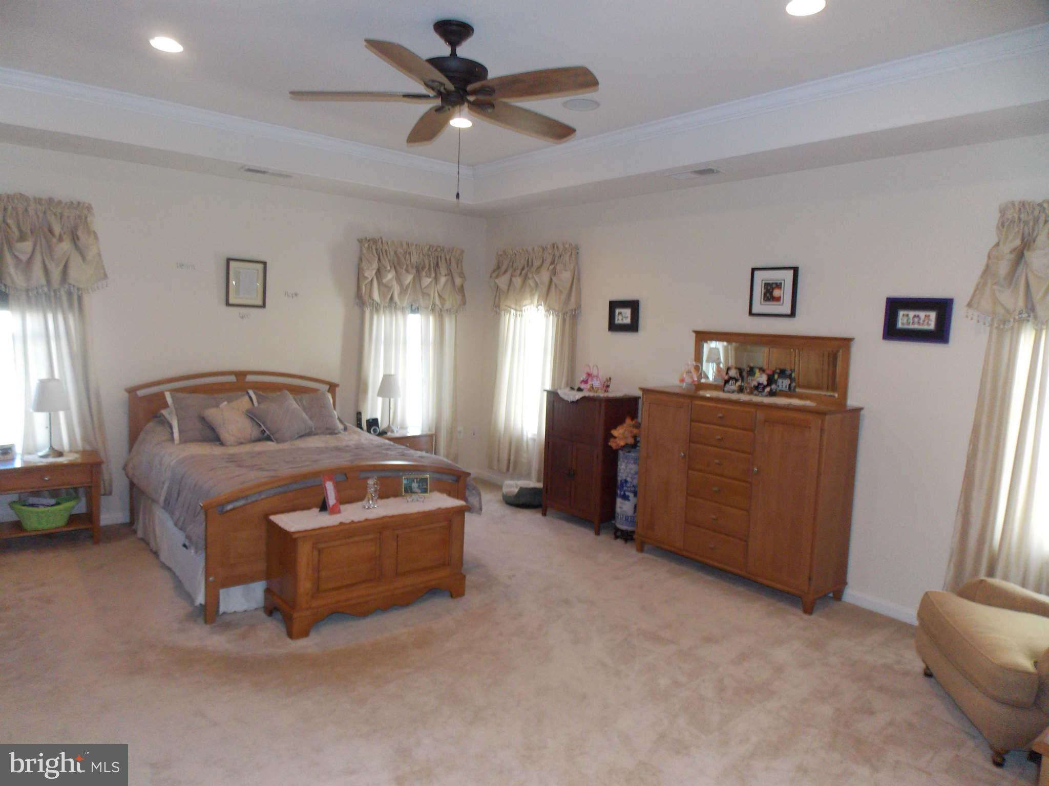 42456 Spring Splendor Drive Ashburn, VA 20148 - Photo 21 of 30 Bedroom (Master)