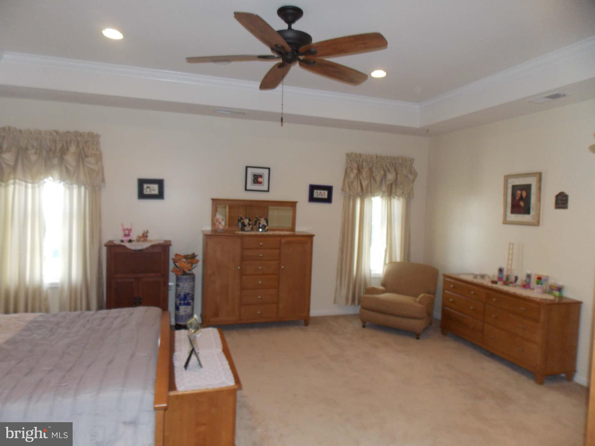 42456 Spring Splendor Drive Ashburn, VA 20148 - Photo 22 of 30 Bedroom (Master)