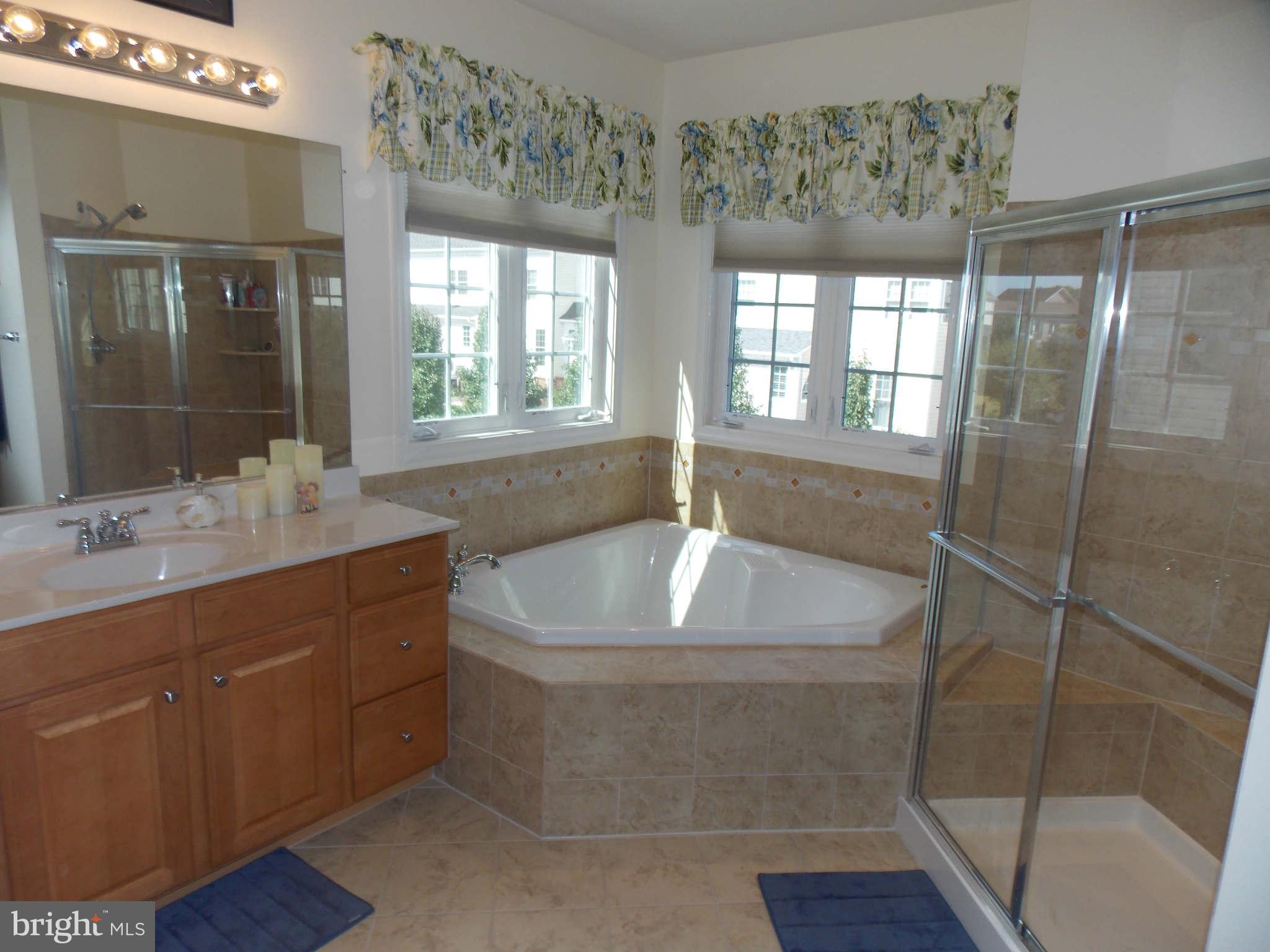 42456 Spring Splendor Drive Ashburn, VA 20148 - Photo 23 of 30 Bath (Master)
