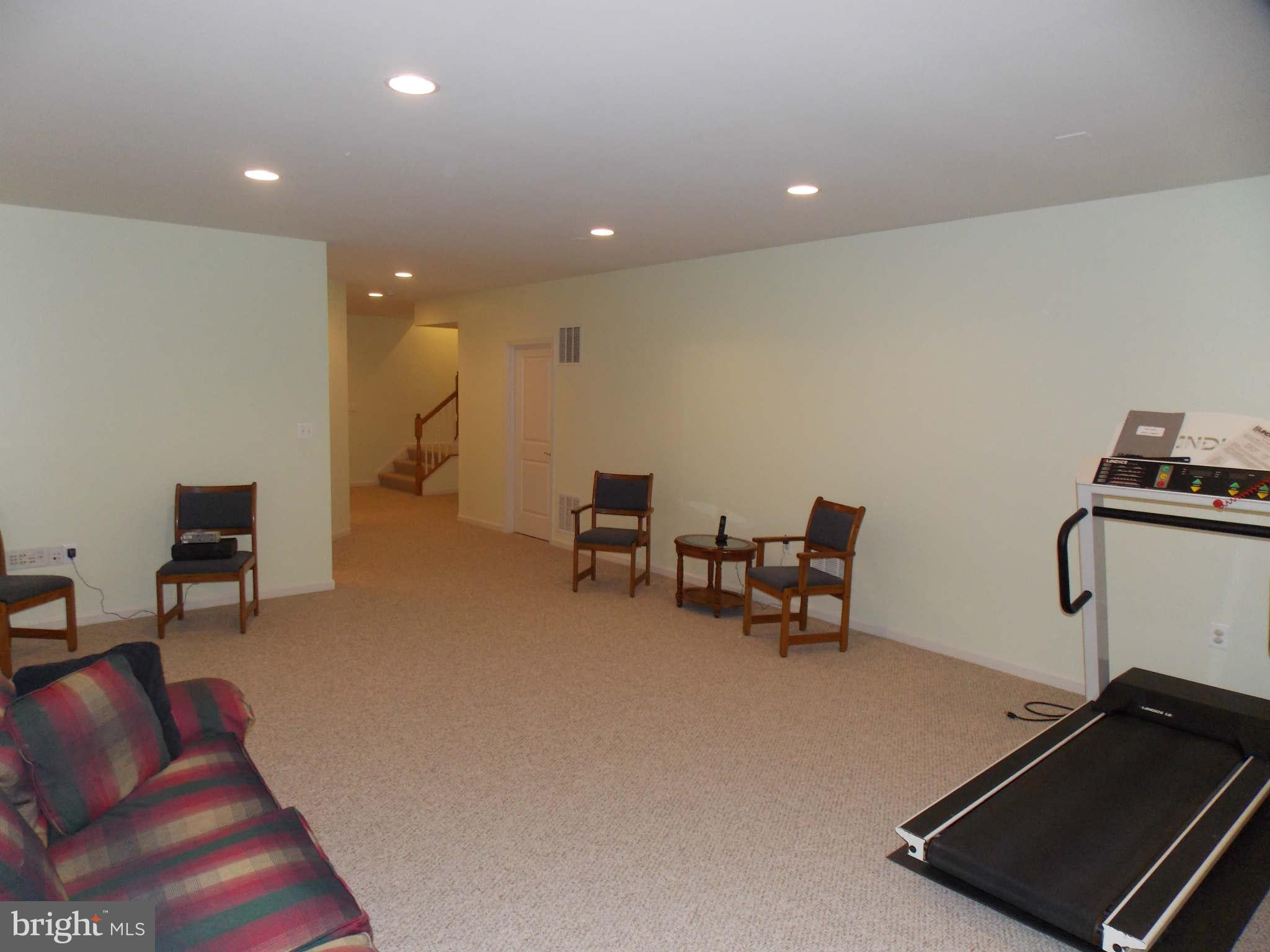 42456 Spring Splendor Drive Ashburn, VA 20148 - Photo 30 of 30 Basement