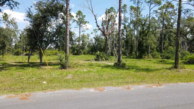 $49,000 | 415 Judson Drive, Perry, FL 32348