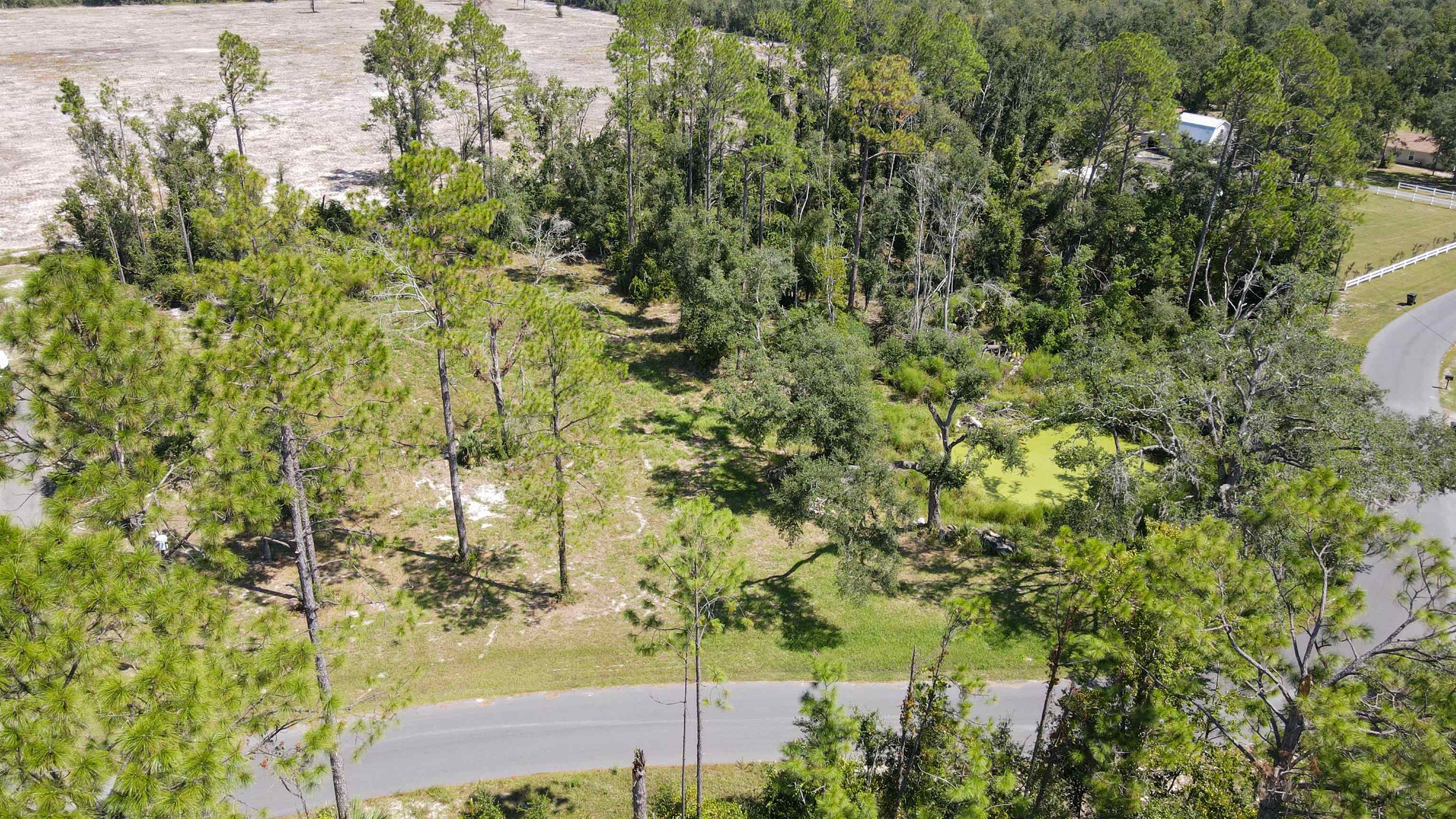 415 Judson Drive Perry, FL 32348 - Photo 4 of 15