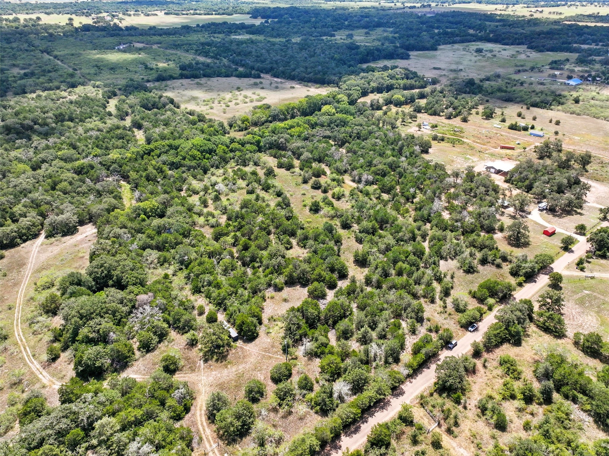 10667 Roy Road Flatonia, TX 78941 - Photo 13 of 16 a view of a bunch of trees and bushes