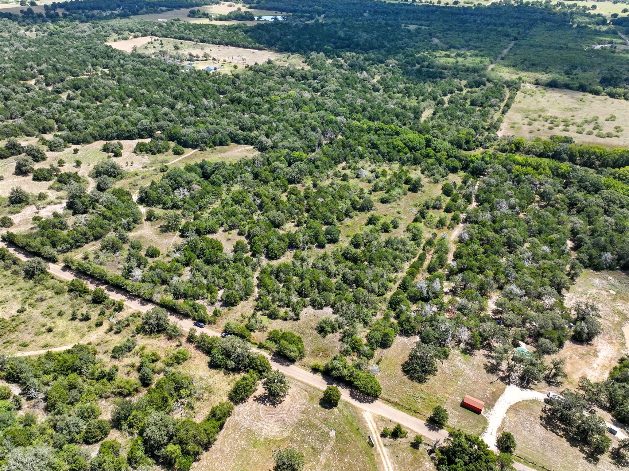 10667 Roy Road Flatonia, TX 78941 - Photo 4 of 16 a view of a bunch of trees and bushes