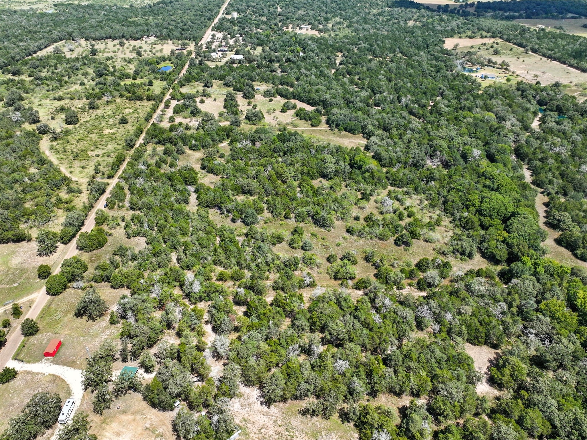 10667 Roy Road Flatonia, TX 78941 - Photo 5 of 16 a view of a yard with a tree