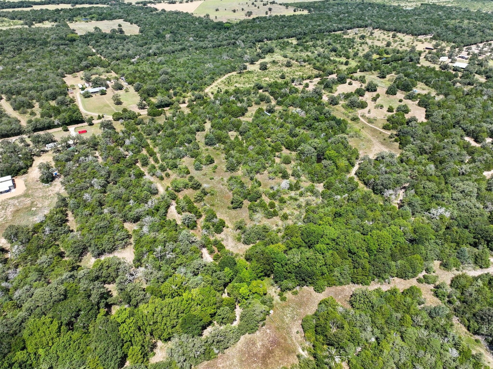 10667 Roy Road Flatonia, TX 78941 - Photo 6 of 16 a view of a large yard with lots of bushes