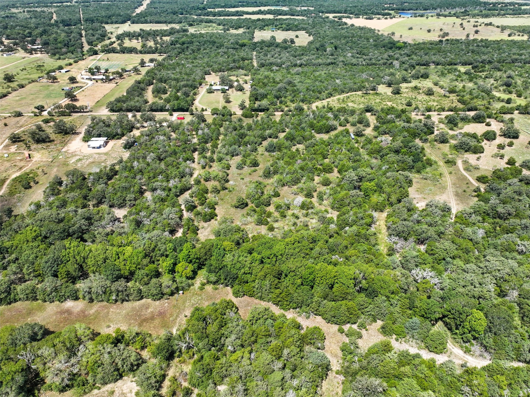 10667 Roy Road Flatonia, TX 78941 - Photo 7 of 16 a view of a bunch of trees and bushes
