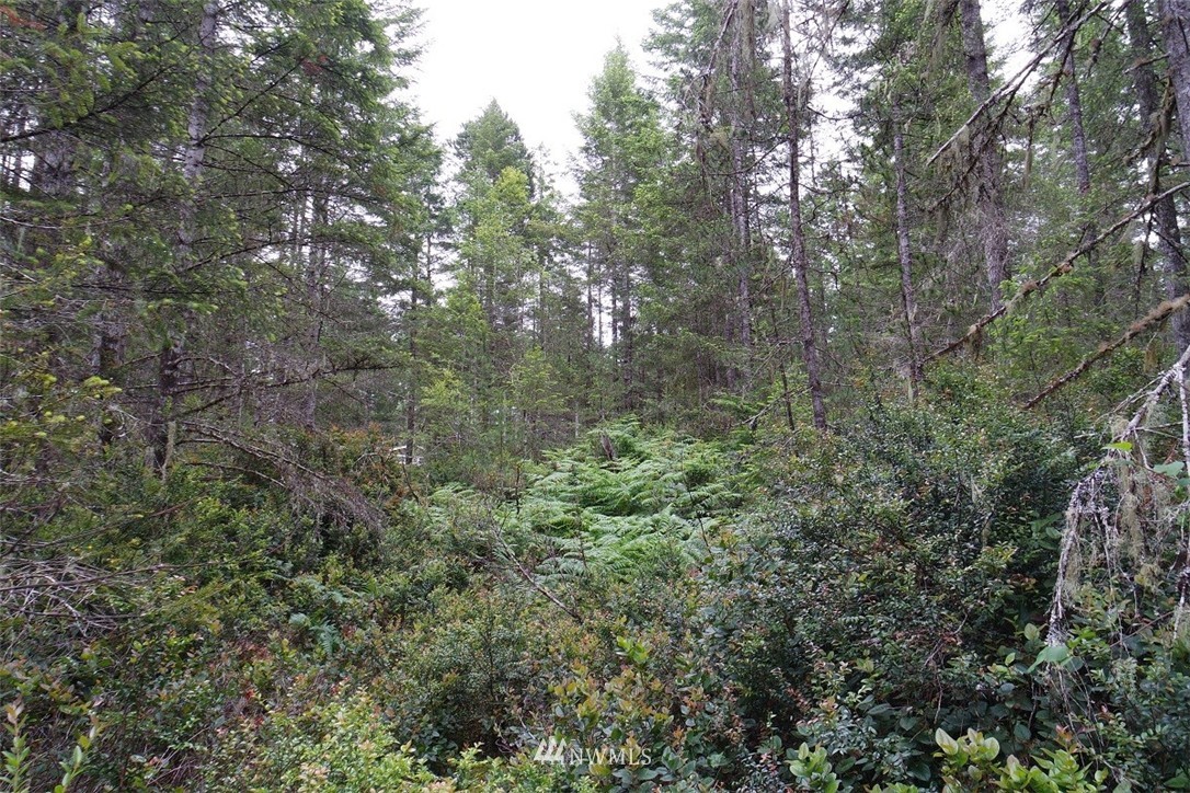 3 East Pinedirosa Rd Union Union, WA 98592 - Photo 12 of 25 Gallery Image 12