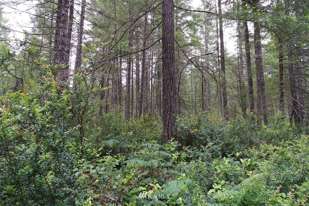3 East Pinedirosa Rd Union Union, WA 98592 - Photo 25 of 25 Gallery Image 25