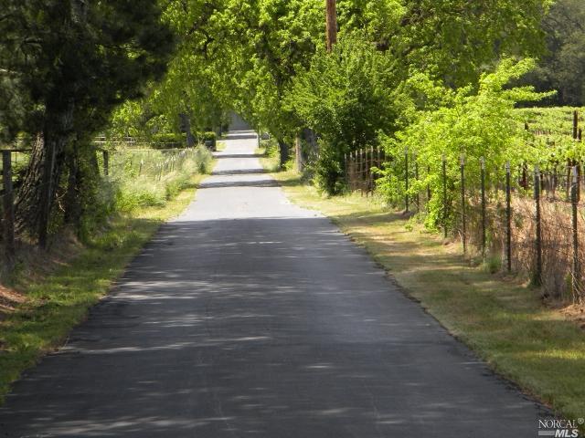 4223 Silverado Trail Napa, CA 94558 - Photo 1 of 1 a view of yard