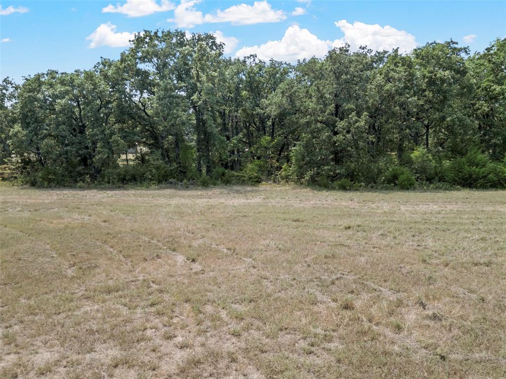 0 Cr-339 Terrell, TX 75161 - Photo 13 of 24 a view of empty room with green space