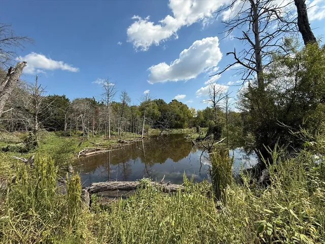 a view of lake with green space