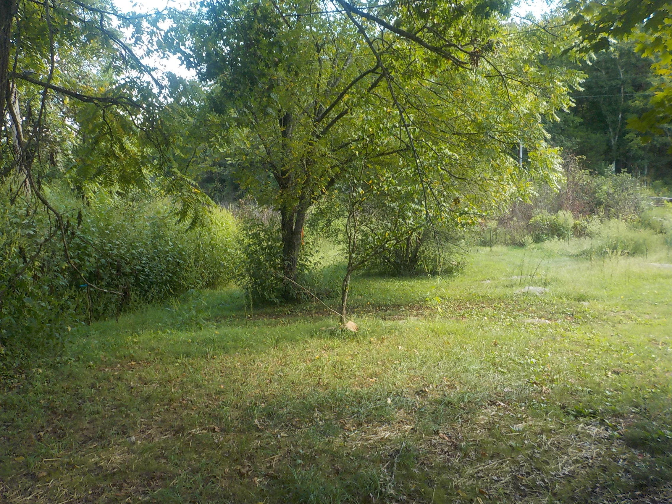 281 Peavler Lane Rutledge, TN 37861 - Photo 15 of 15 015