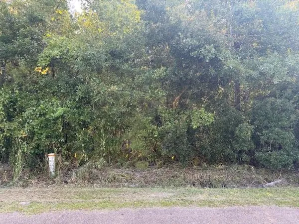 $30,000 | 0 Joe Road, Lacombe, LA 70445