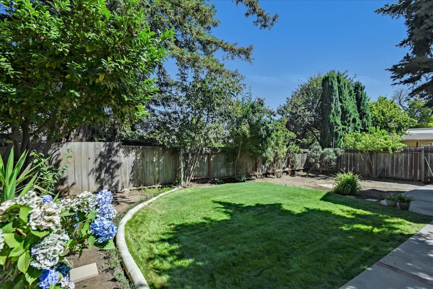 64 Darcy Avenue San Mateo, CA 94403 - Photo 51 of 54 a view of a backyard with plants and large trees