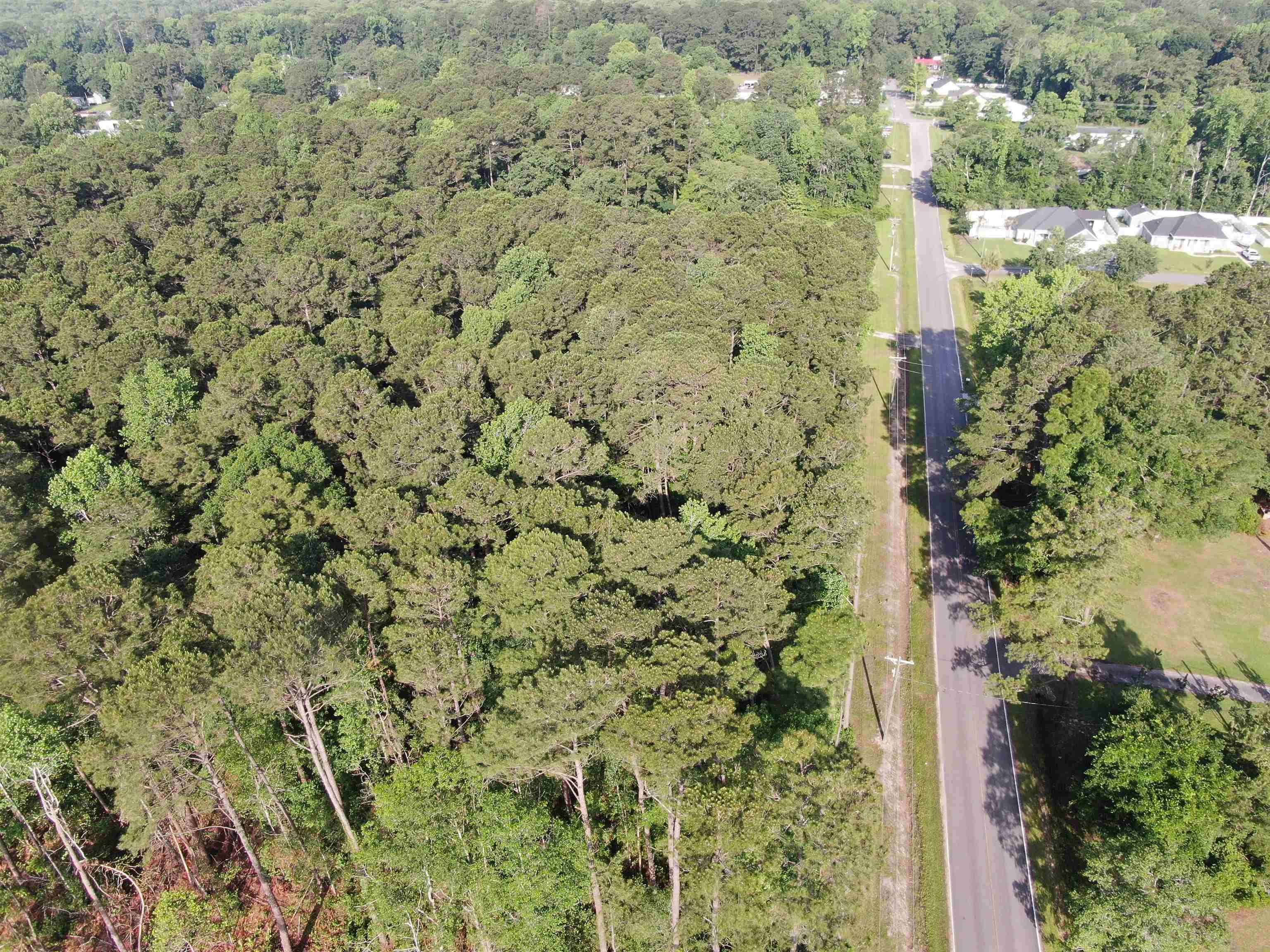 4259 Roscoe Road Myrtle Beach, SC 29588 - Photo 14 of 18