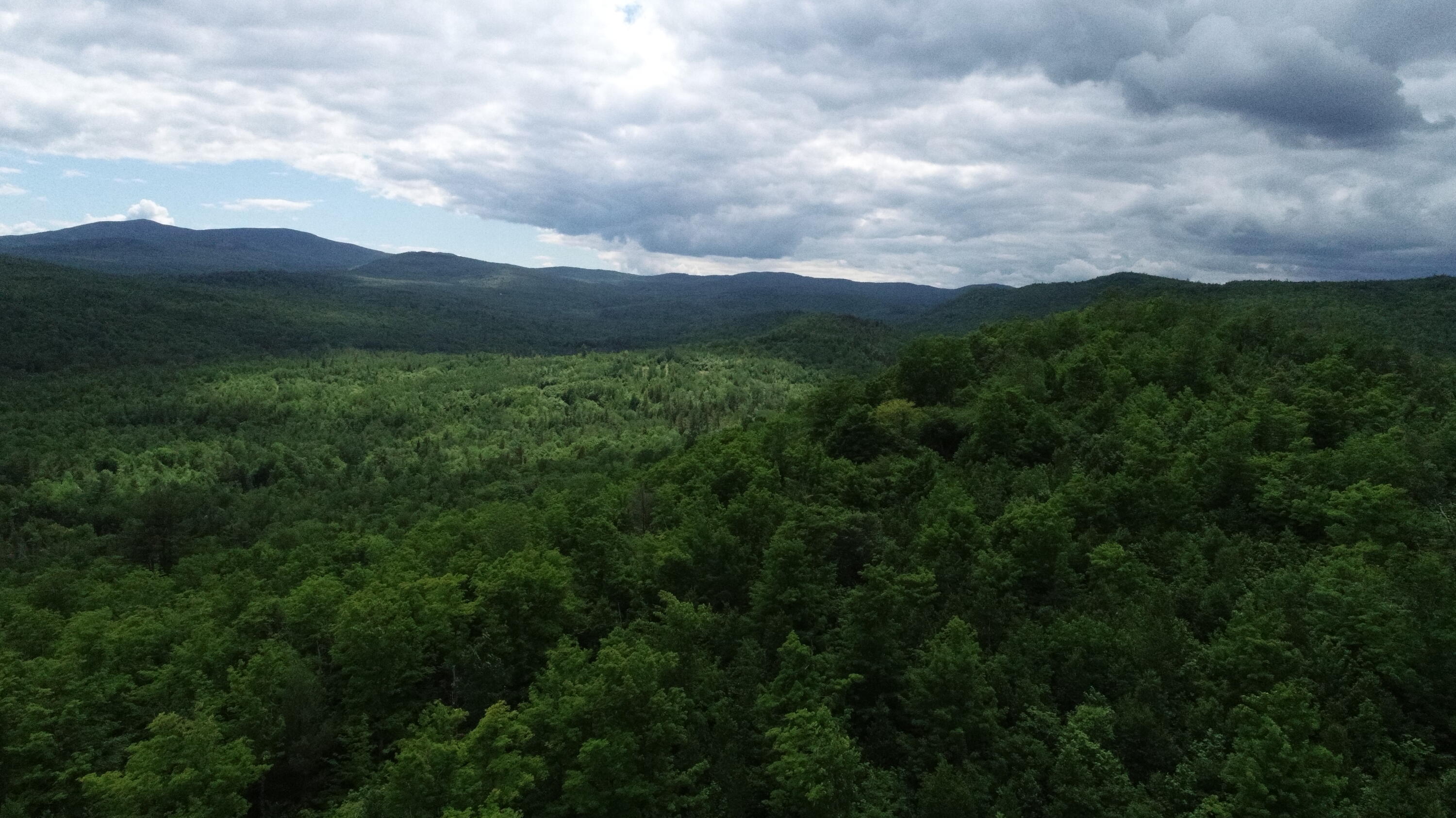 160 Reed's Mill Road Madrid Township, ME 04966 - Photo 3 of 20 DJI_0078