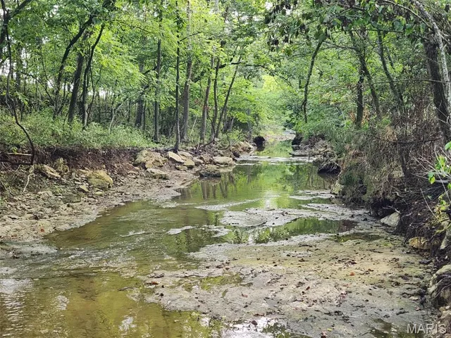 $939,000 | 9551 M- Highway, Mountain Grove, MO 65711