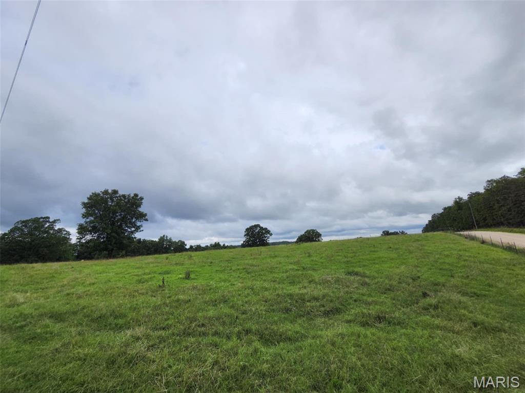 9551 M- Highway Mountain Grove, MO 65711 - Photo 4 of 83