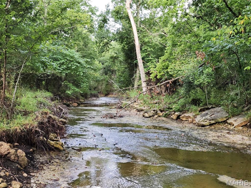 9551 M- Highway Mountain Grove, MO 65711 - Photo 42 of 83