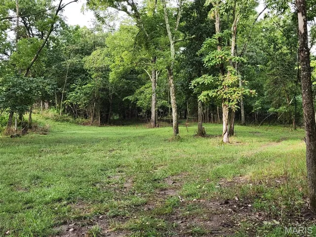 $939,000 | 9551 M- Highway, Mountain Grove, MO 65711