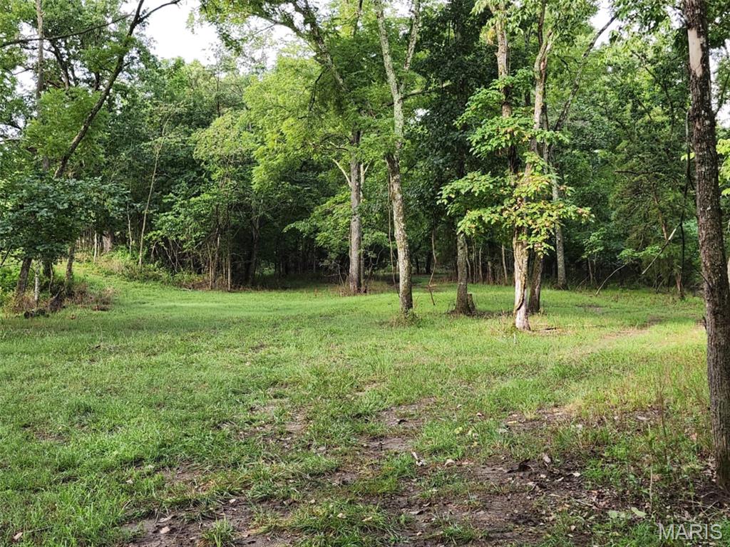 9551 M- Highway Mountain Grove, MO 65711 - Photo 45 of 83