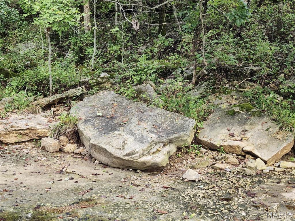 9551 M- Highway Mountain Grove, MO 65711 - Photo 76 of 83