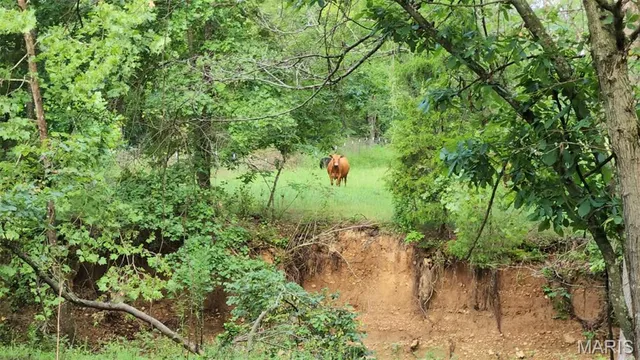 $939,000 | 9551 M- Highway, Mountain Grove, MO 65711