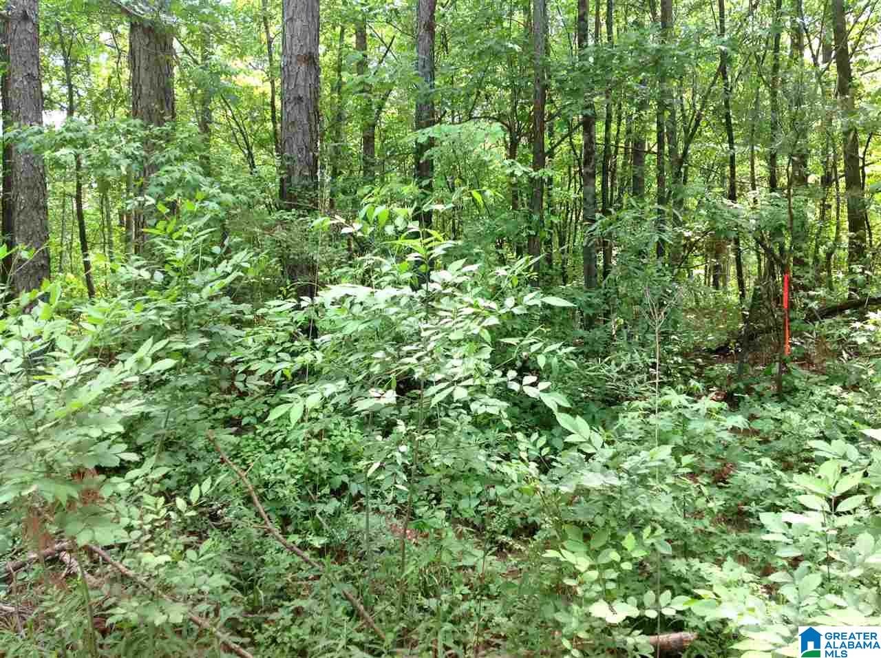 0 County Road 697 Muscadine, AL 36269 - Photo 4 of 8