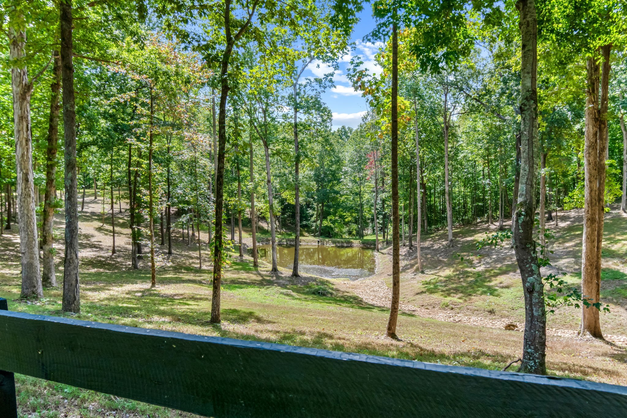 6011 Garrison Springs Road Franklin, TN 37064 - Photo 12 of 99