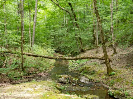 $6,800,000 | 6011 Garrison Springs Road, Franklin, TN 37064