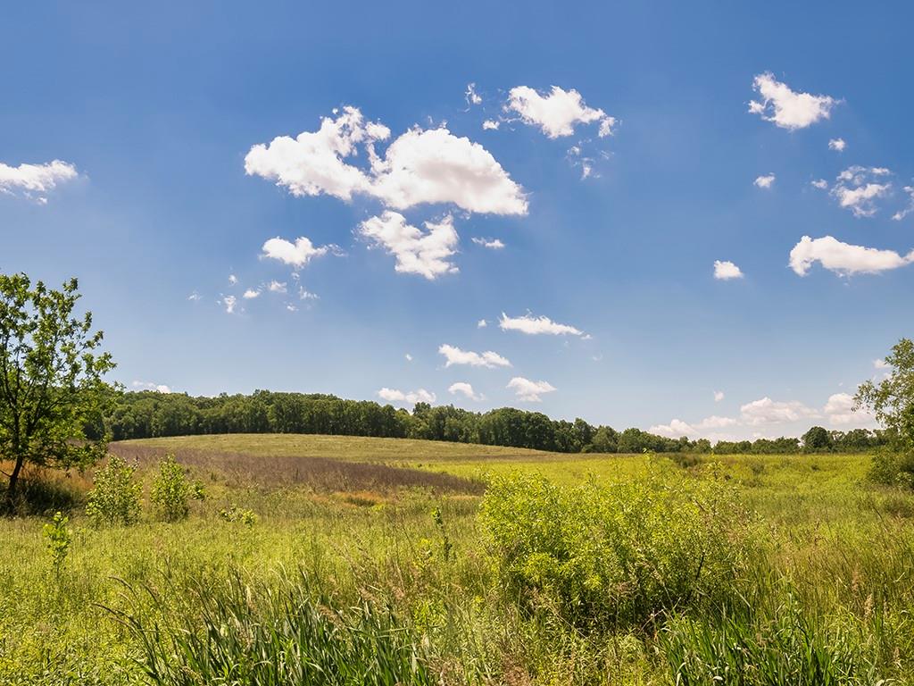 386 Fanker Road Harmony, PA 16037 - Photo 41 of 47