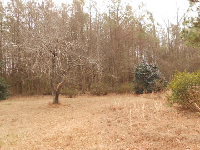 2704 Buffalo Road Smithfield, NC 27577 - Photo 24 of 25 Photo 24