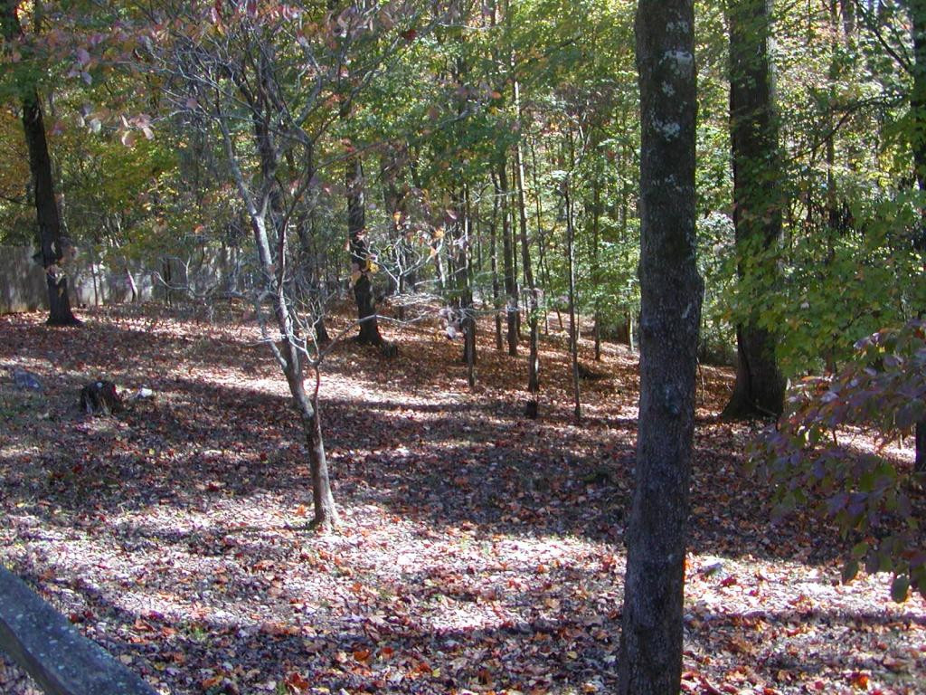 1201 Ridgecrest Road Johnson City, TN 37604 - Photo 7 of 24 Photo 7