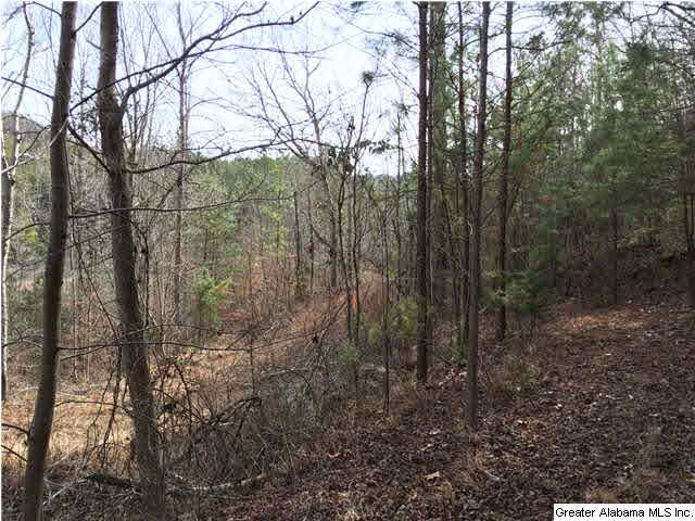 734 Valley Grove Road, Unit 15 4 ACR Remlap, AL 35133 - Photo 16 of 32