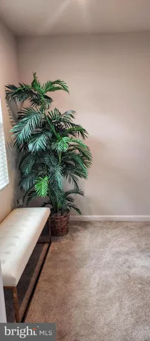 a view of a plant in a room