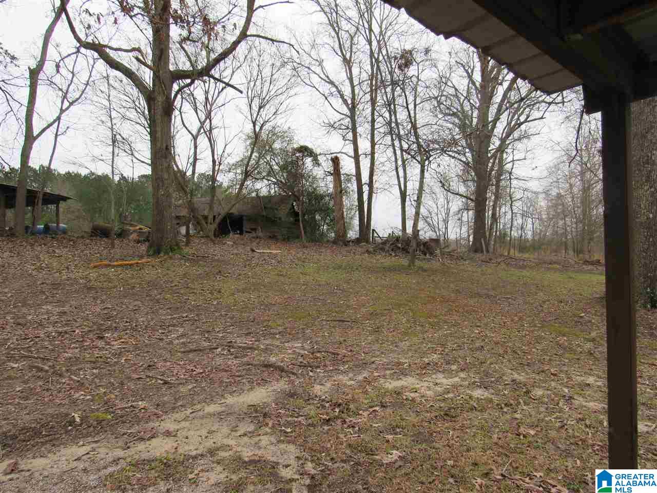 190 County Road 484 Clanton, AL 35046 - Photo 15 of 45