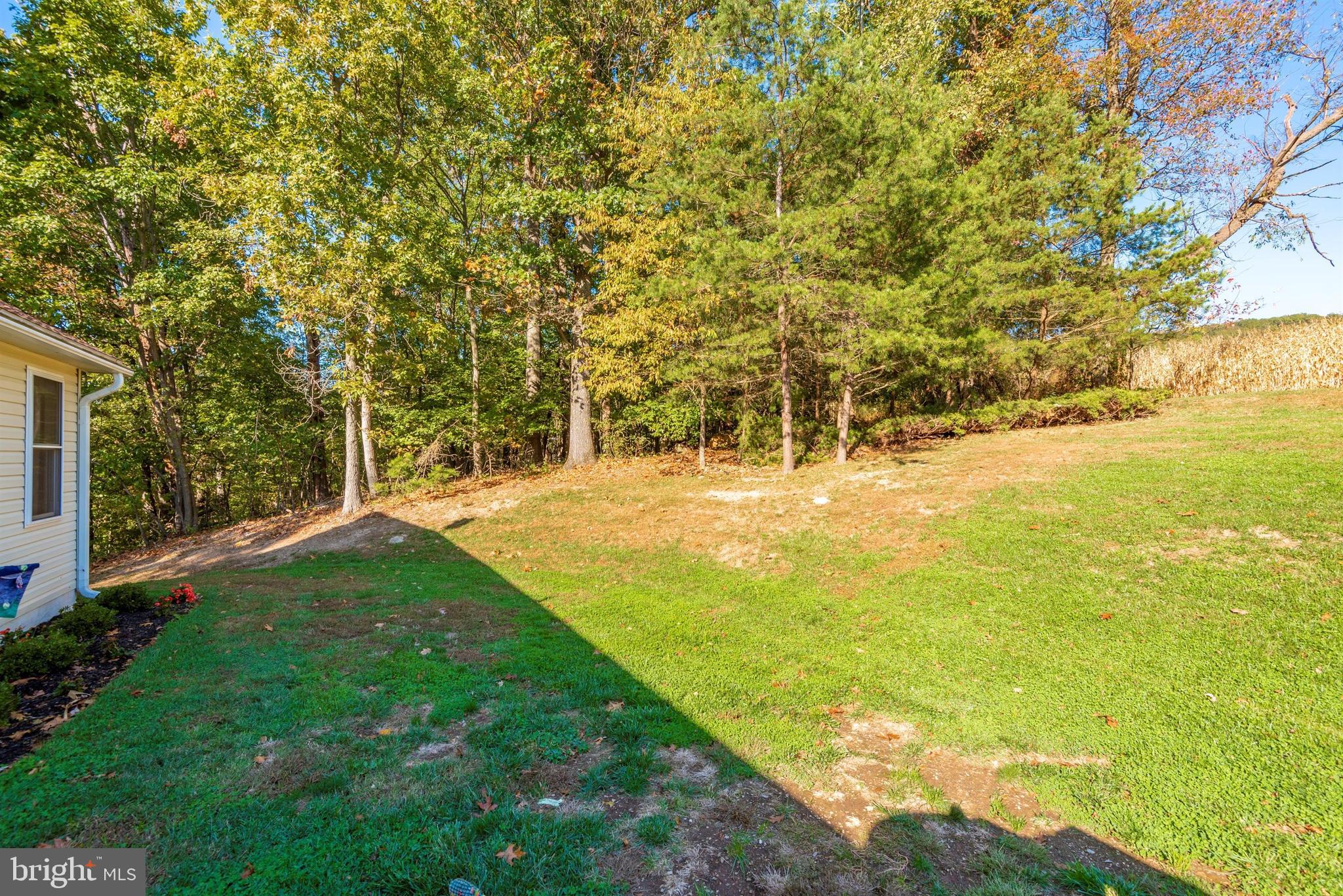 5815 Clevelandtown Road Boonsboro, MD 21713 - Photo 44 of 53