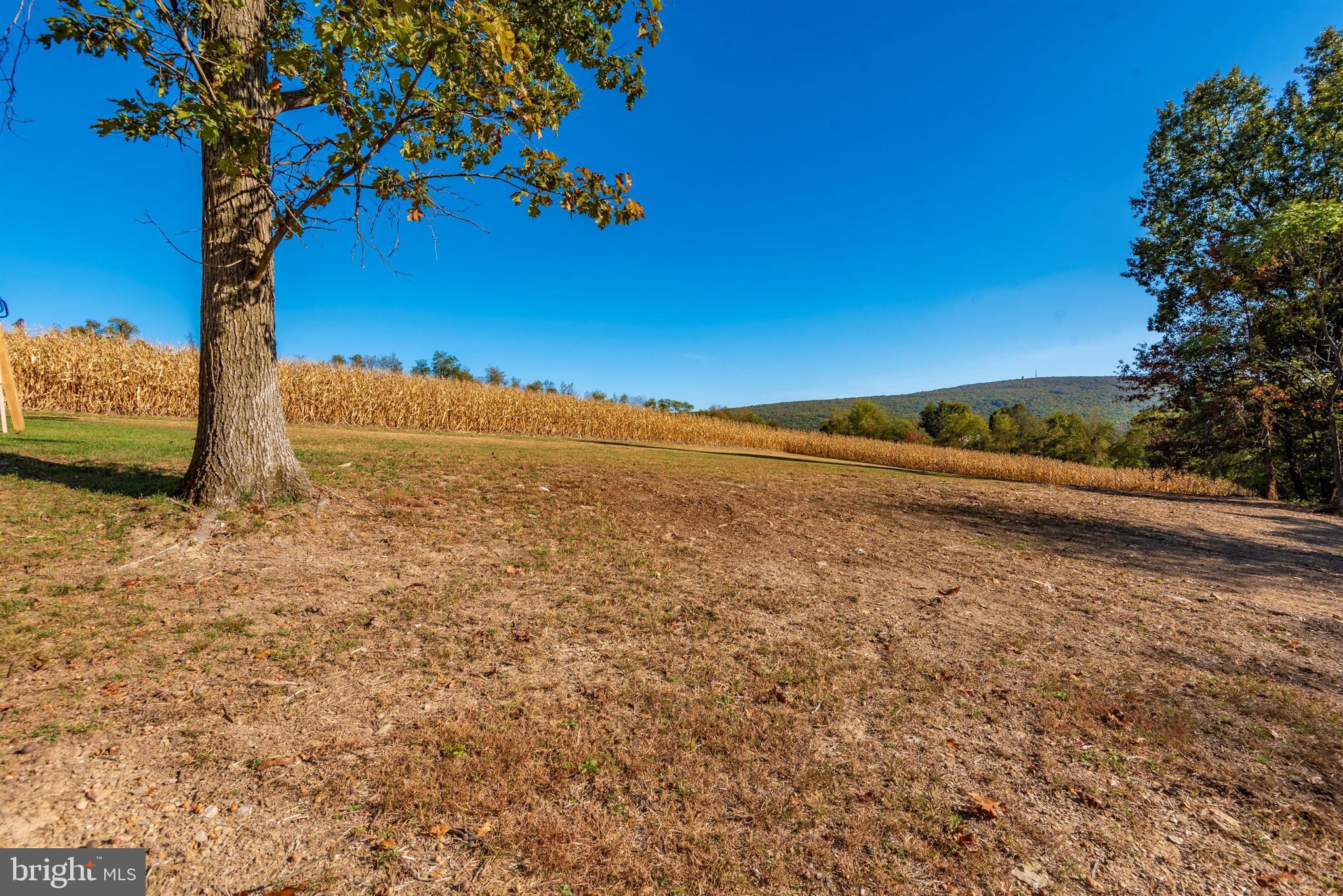 5815 Clevelandtown Road Boonsboro, MD 21713 - Photo 46 of 53