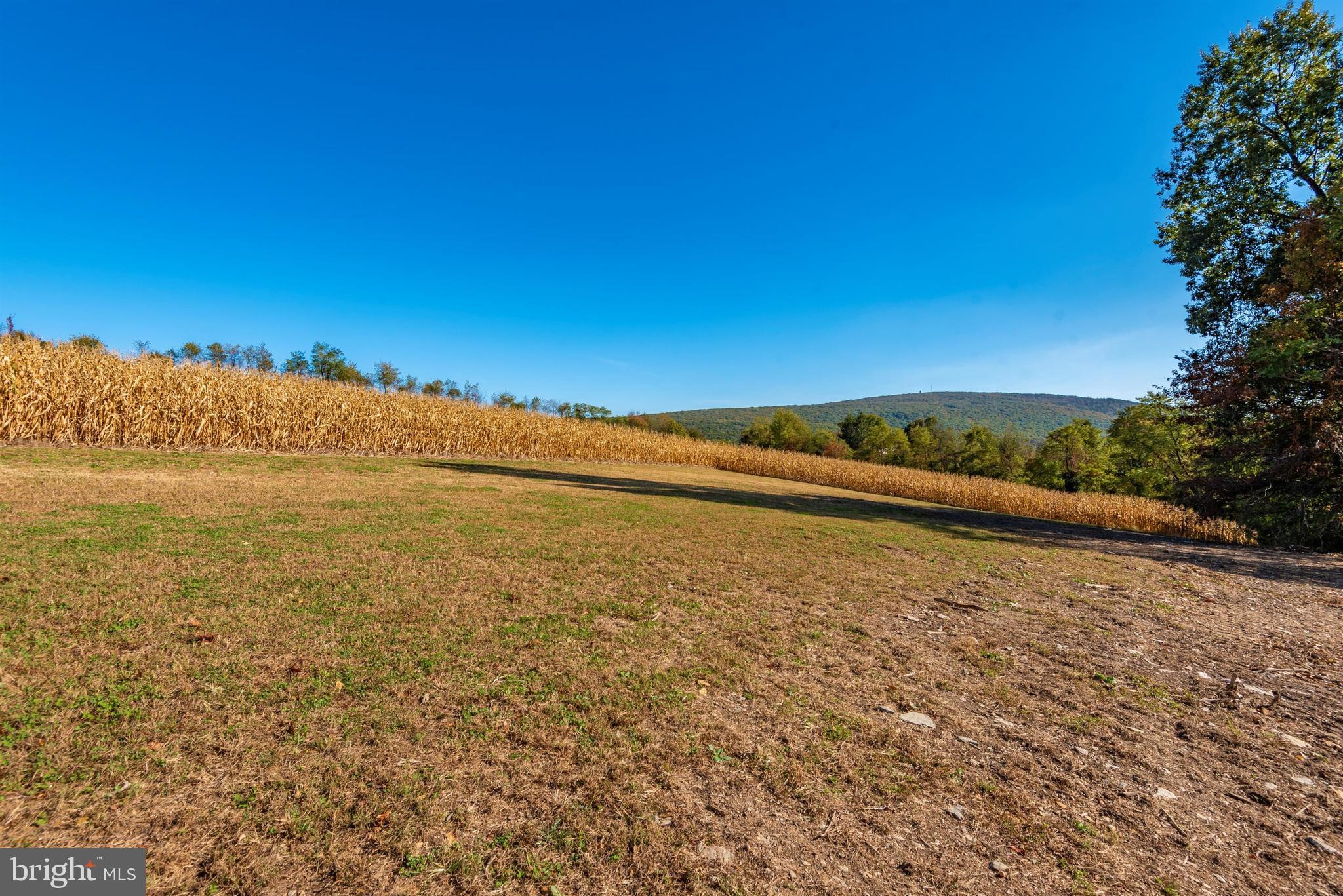 5815 Clevelandtown Road Boonsboro, MD 21713 - Photo 48 of 53