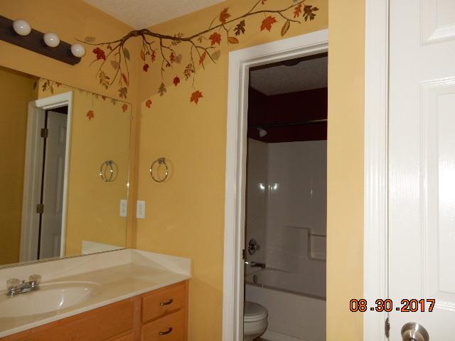 261 7 Mile Ferry Road Cunningham, TN 37052 - Photo 16 of 24 a bathroom with a granite countertop sink toilet and shower