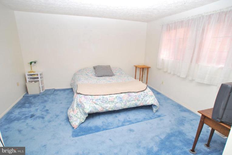 10528 Apple Ridge Road Gaithersburg, MD 20886 - Photo 13 of 23 Master Bedroom #2