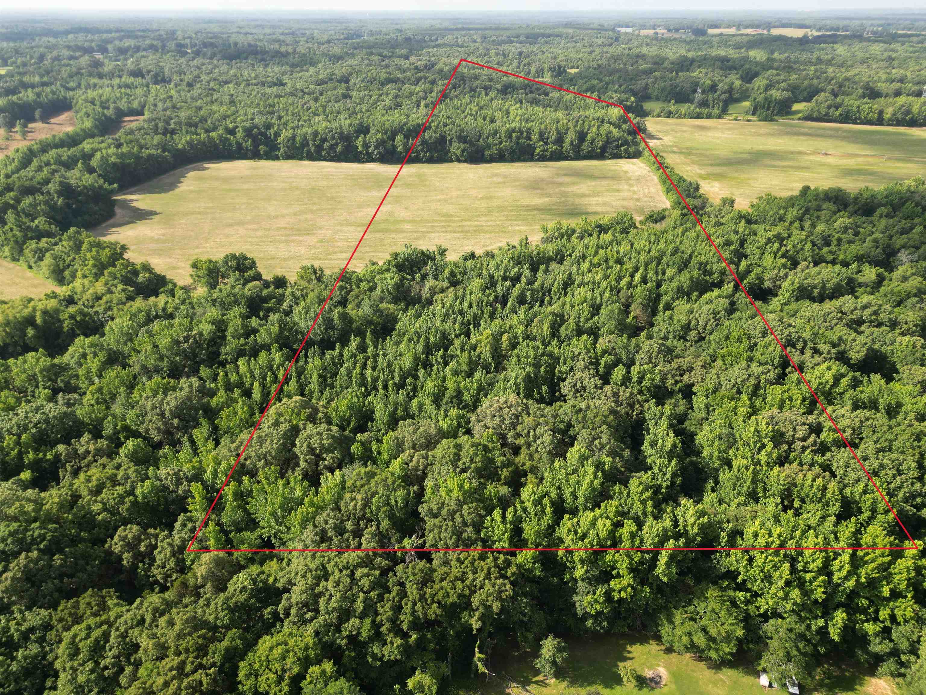 1465 Bobbitt Road Williston, TN 38076 - Photo 2 of 16 an aerial view of ocean with residential houses with outdoor space and trees