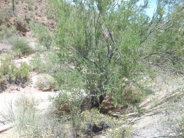 $275,000 | 23437 North Church Road, Unit 10, Scottsdale, AZ 85255