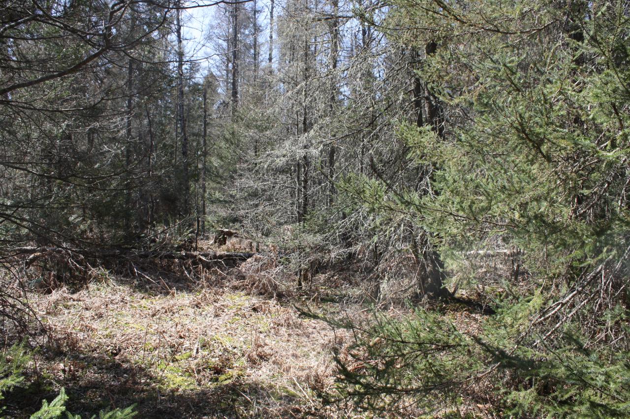 On Rice Creek Lane, Unit 6613 Eagle River, WI 54521 - Photo 10 of 15 Gallery Image 10