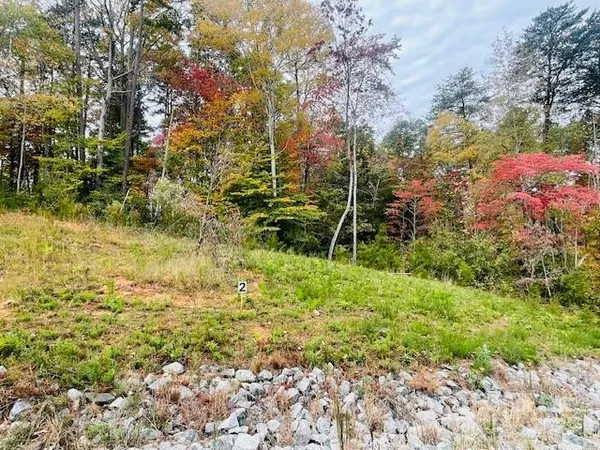 a view of yard with green space