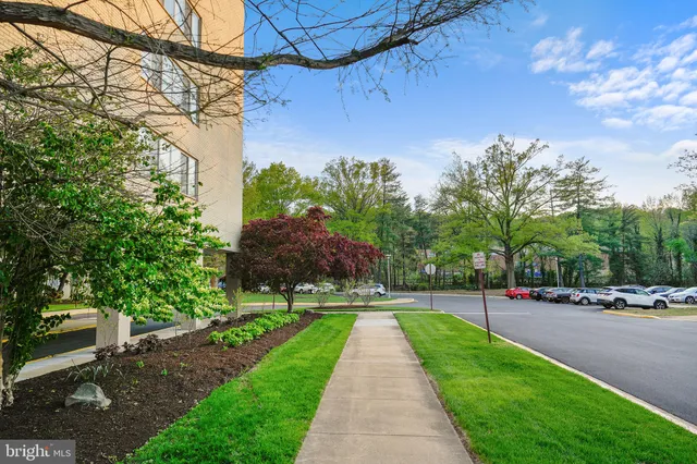a street view with tall buildings