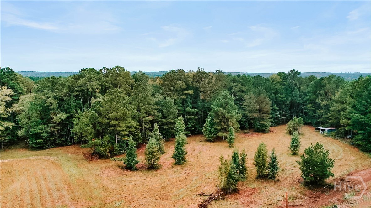 5971 Penfield Road Union Point, GA 30669 - Photo 42 of 43