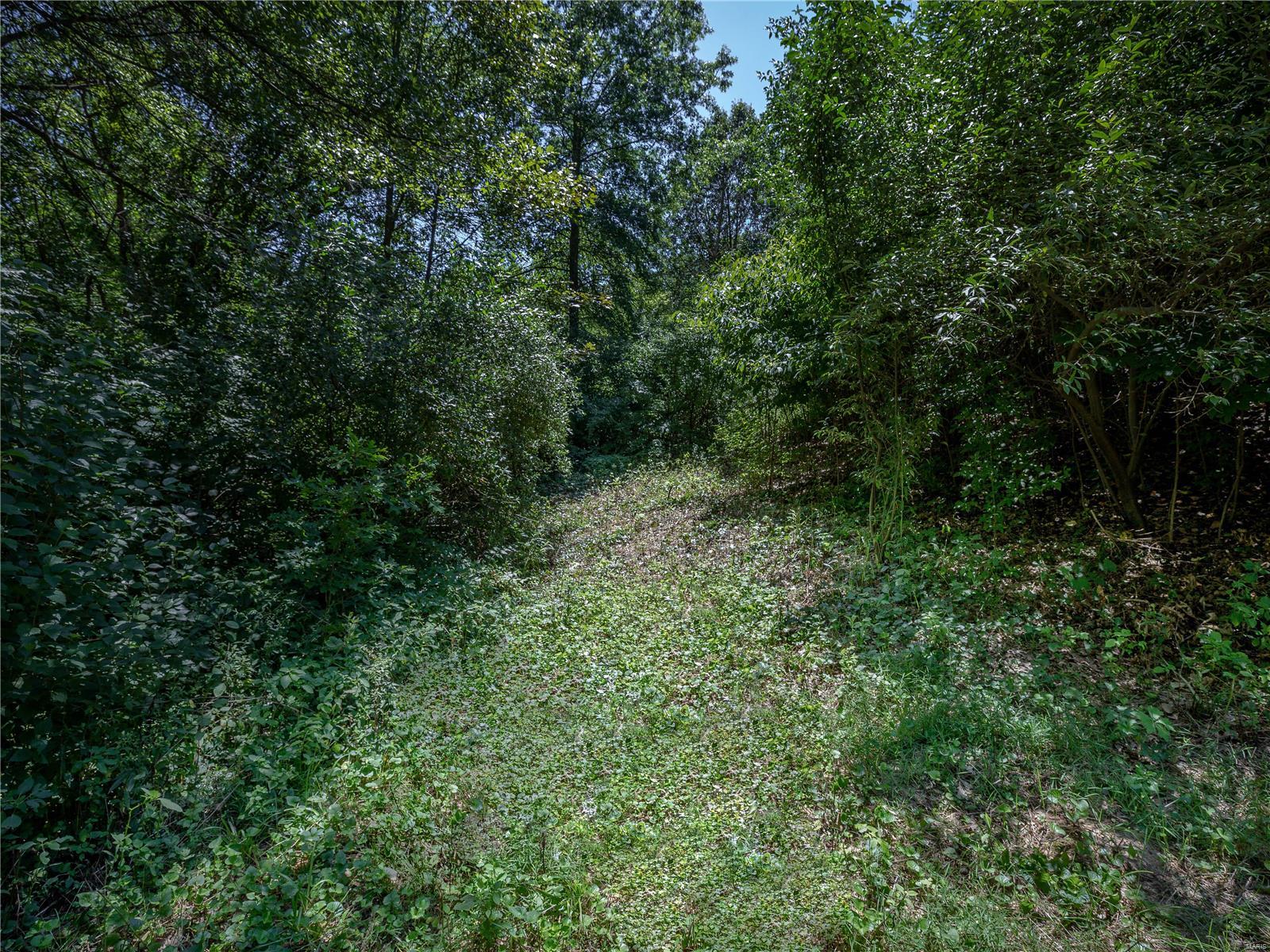 11 Bernhardt Road Lebanon, IL 62254 - Photo 11 of 53 Gallery Image 11