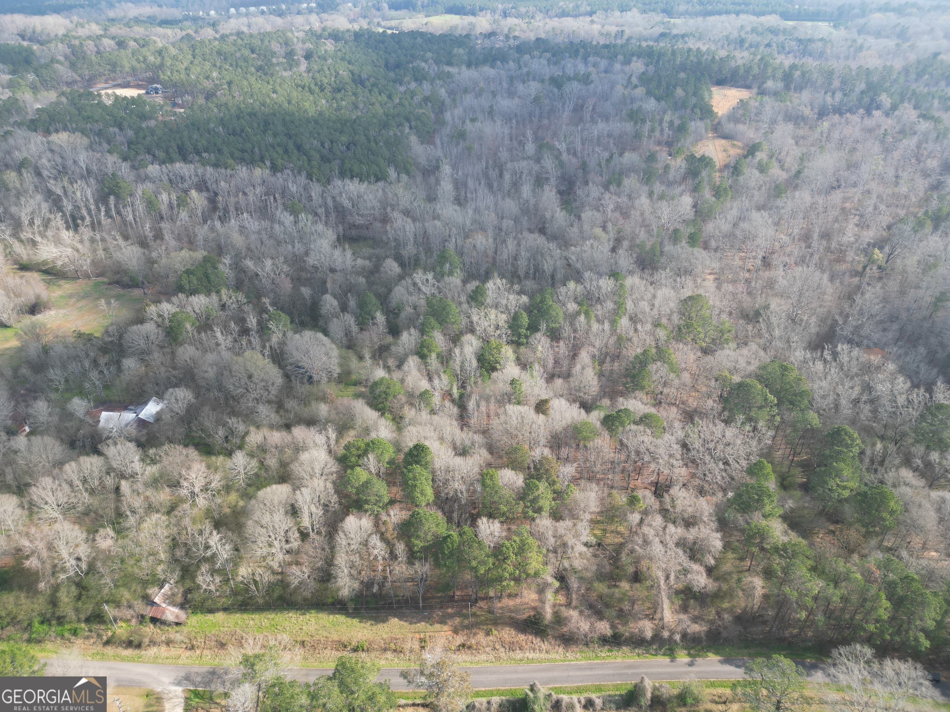 0 Saffold Road Buckhead, GA 30625 - Photo 2 of 9